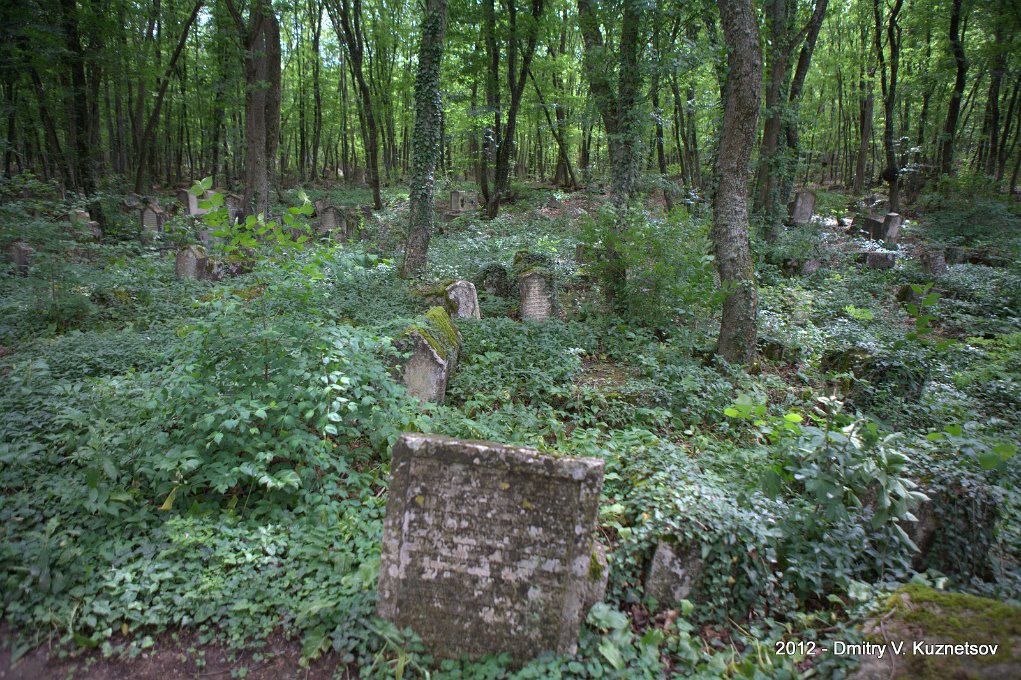 YQ0P0705.jpg - Караимское кладбище Балта Тиймэз